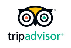 tripadvisor logo