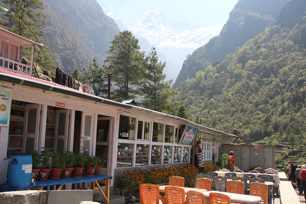 Teahouse in Everest region | Best tea house trek in Nepal