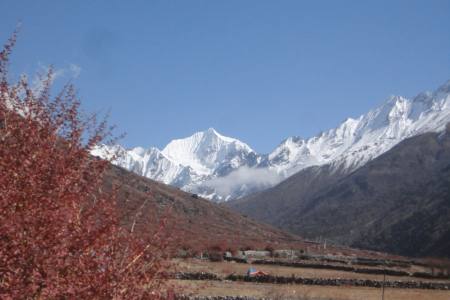 Langtang Trekking