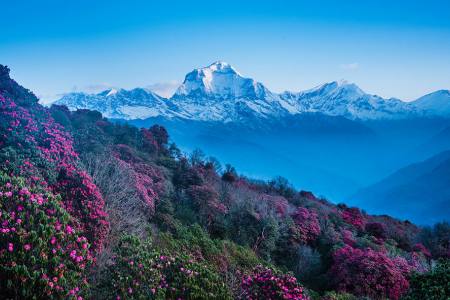 Nepal