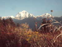 Beautiful view of Mt Dhaulagiri from Poonhill