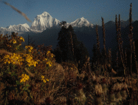 Early morning view from poonhill