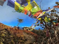 Mardi Himal trekking trail
