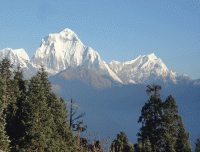 Mt Dhaulagiri from Poonhill