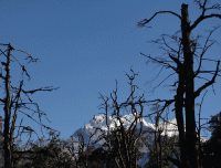 Mt.-Manaslu-from-Timal