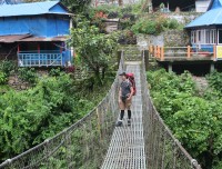Trekkers-crossing-tikhedhunga-suspasions-bridge-day-1-of-ghorepani-poon-hill,-annapurna-base-camp-trek
