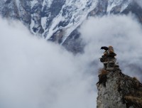 Annapurna Base camp  Trek 