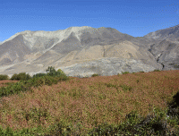 contrast-of-a-desert-mountain-in-mustang