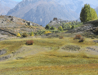 contrast-of-a-yak-pasture-and-jharkot-in-annapurna-circuit-trek