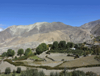 contrast-of-green-and-grey-vegetation-against-desert-mountain-in-mustang