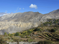 farming-in-mustang