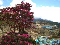 Gokyo Chola Trek