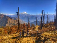 off the beaten trek ganesh himal