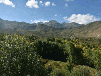 green-fields-in--mustang-desert