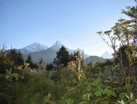 majestic view of Annapurna from Poonhill