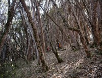 Khopra danda  Rhododendron View Trek in Annapurna region