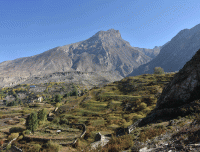 terrace-farming-in-annapurna-circuit-trek