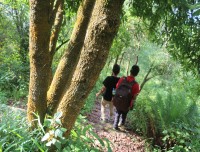 Trails on Ranikot Hiking; Best Short Hiking Around Kathmandu