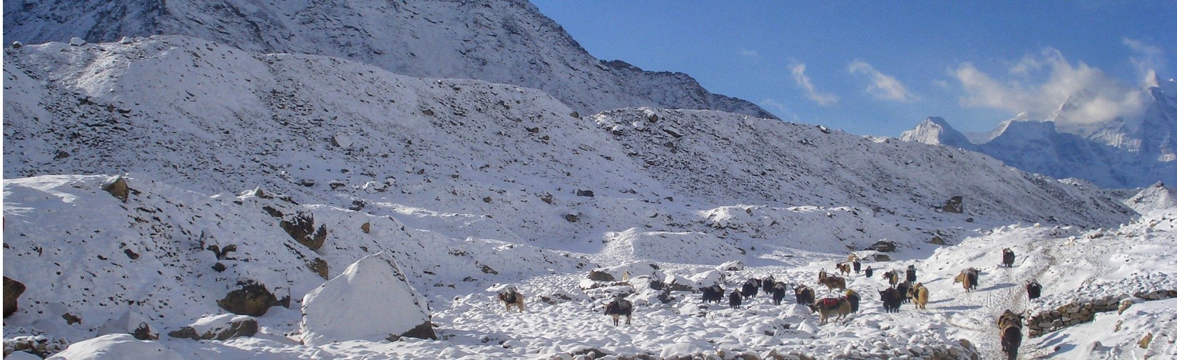 Everest Base Camp Chola Pass Gokyo Trek 