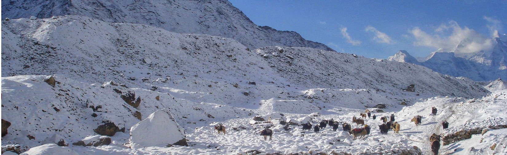 Everest Base Camp Trek via Gokyo Lakes and cho la pass