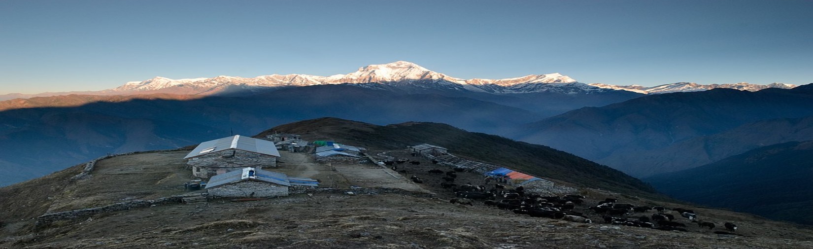 The view of Dhaulagiri from Khopra Danda/Ridge Trek 10 Days - Nepal Trail Finder