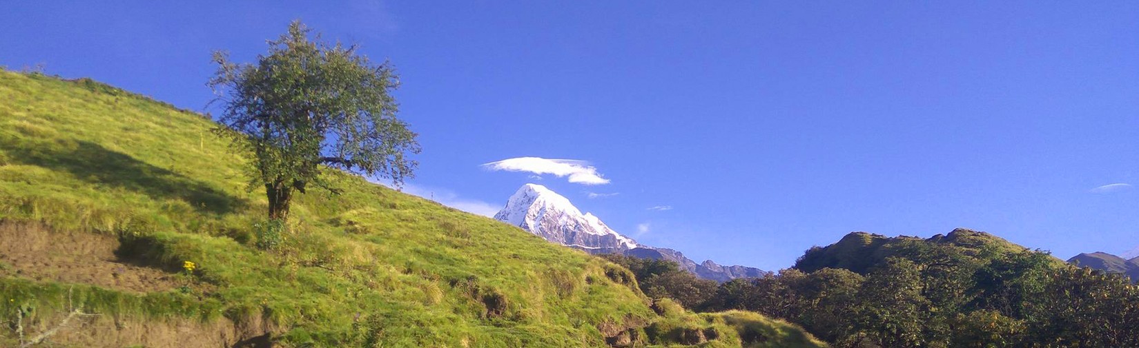 Mardi Himal Trek