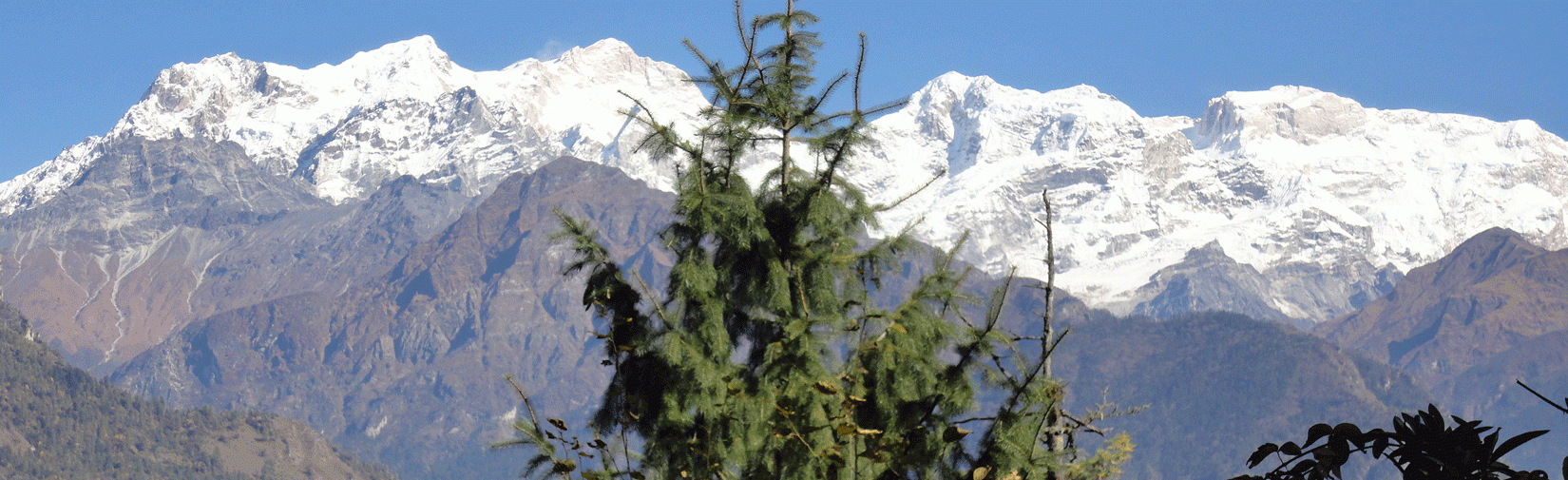 Mt. Manaslu From Timal