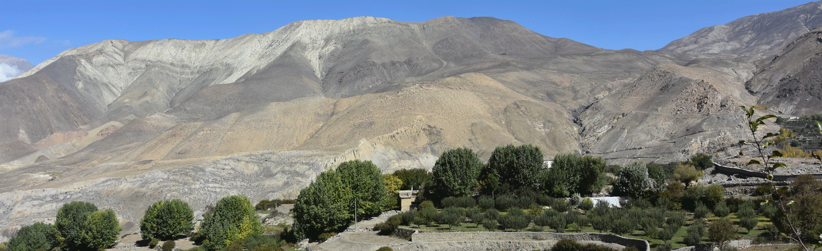 contrast-of-green-and-grey-vegetation-against-desert-mountain-in-mustang