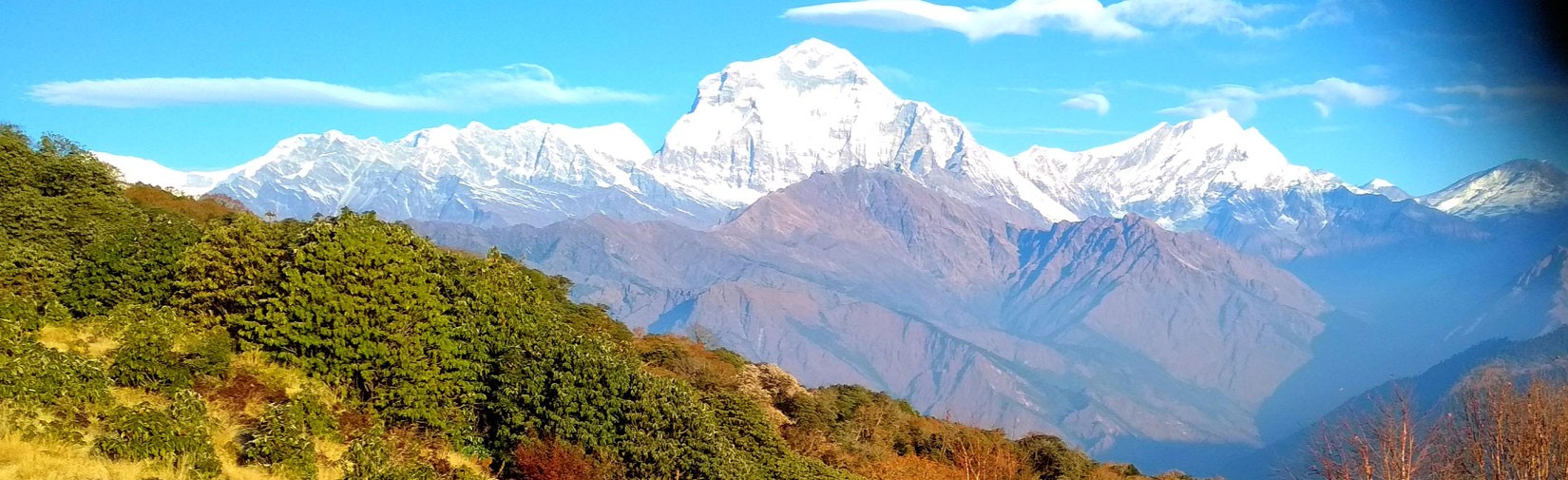 Ghorepani-Poon-Hill-Trek-short-trek-in-nepal
