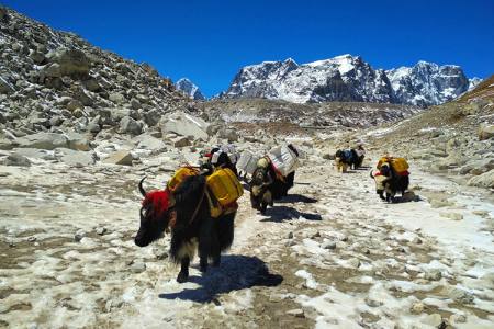 Everest Base Camp Trek 2024/2025