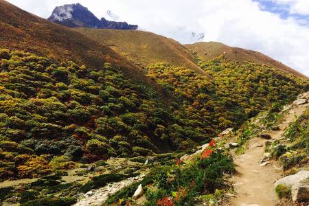 Manaslu Circuit Trek 